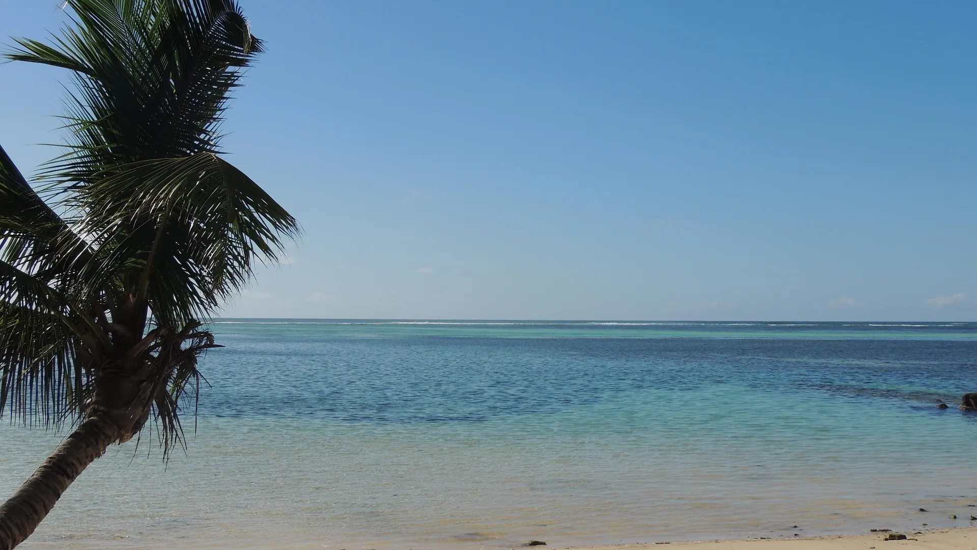 Reef Holiday Apartments Anse aux Pins