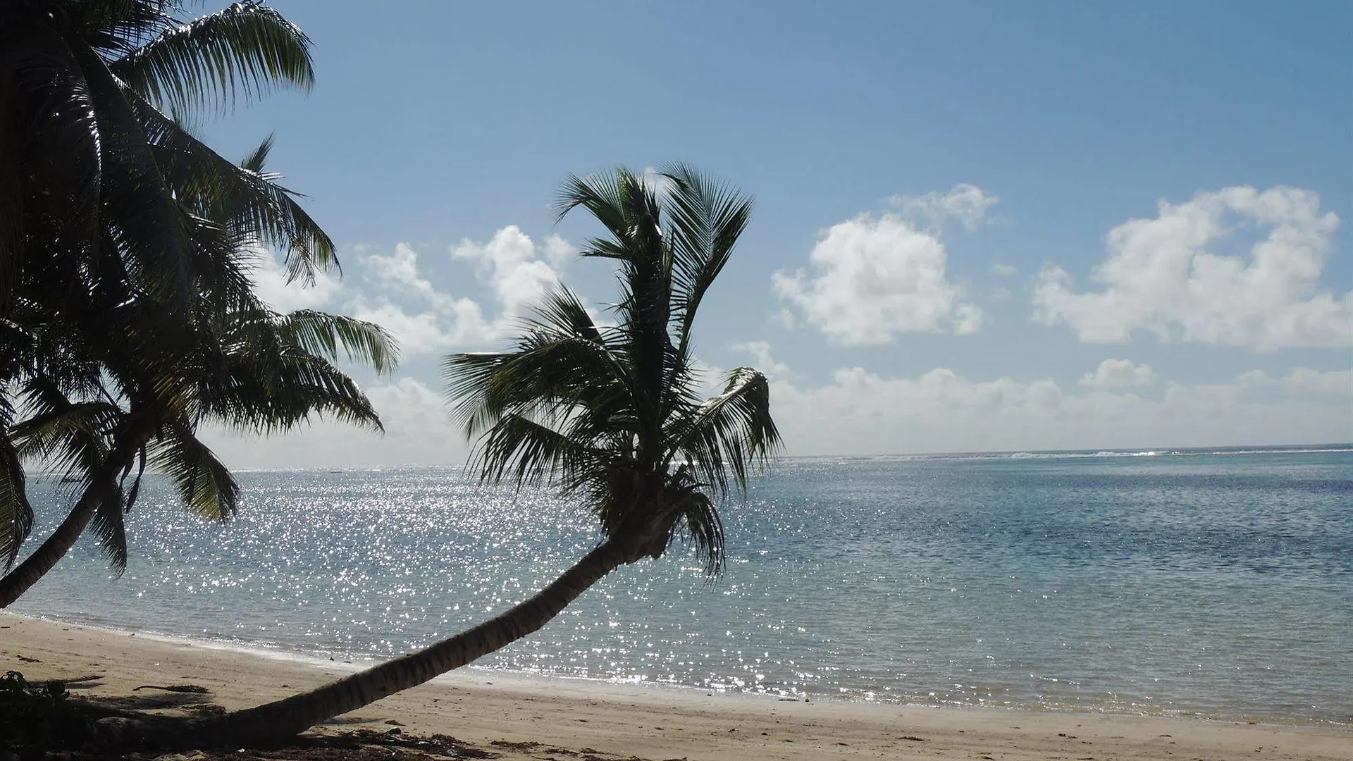 Reef Holiday Apartments Anse aux Pins 0*,  Seychellen